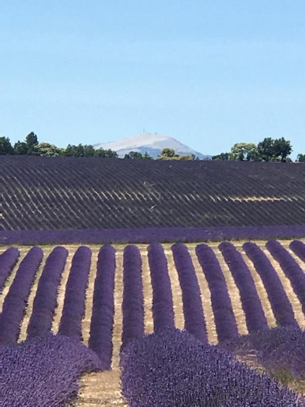Villa au pied du Ventoux Mormoiron Esterno foto